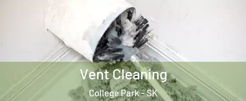  Vent Cleaning College Park - SK