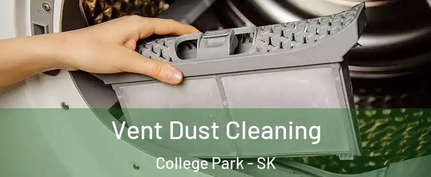  Vent Dust Cleaning College Park - SK